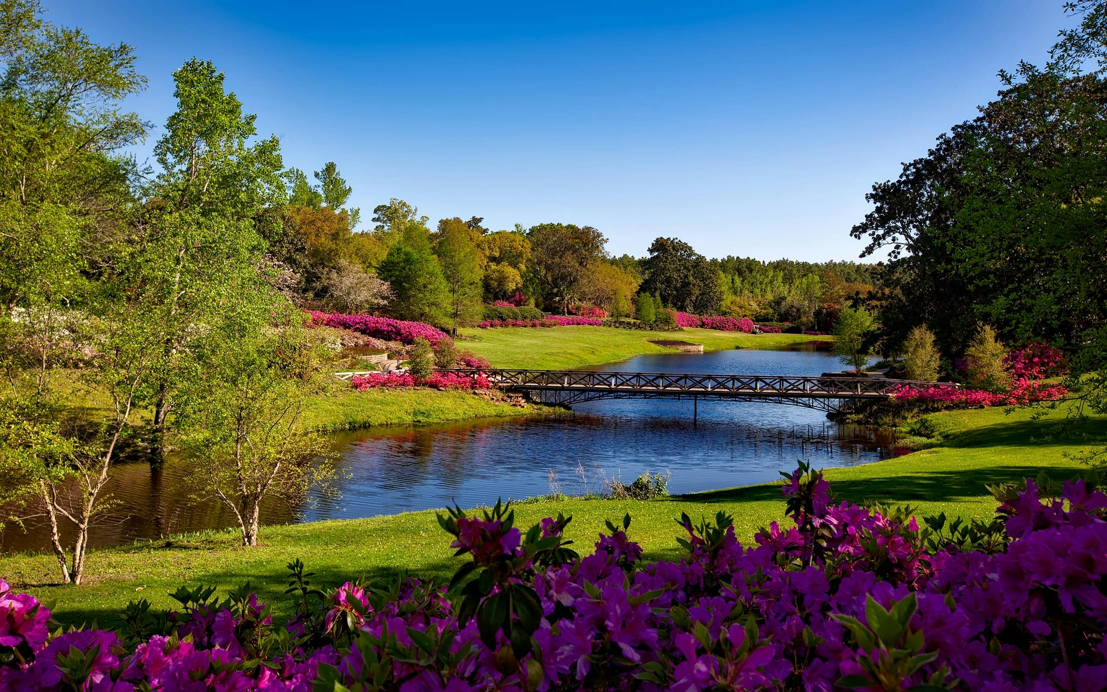 park filled with trees with flowers in the foreground and a lake in the background